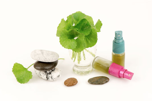 Centella Asiatica in Skin Care