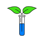 Quick Refresher on Collagen Biology