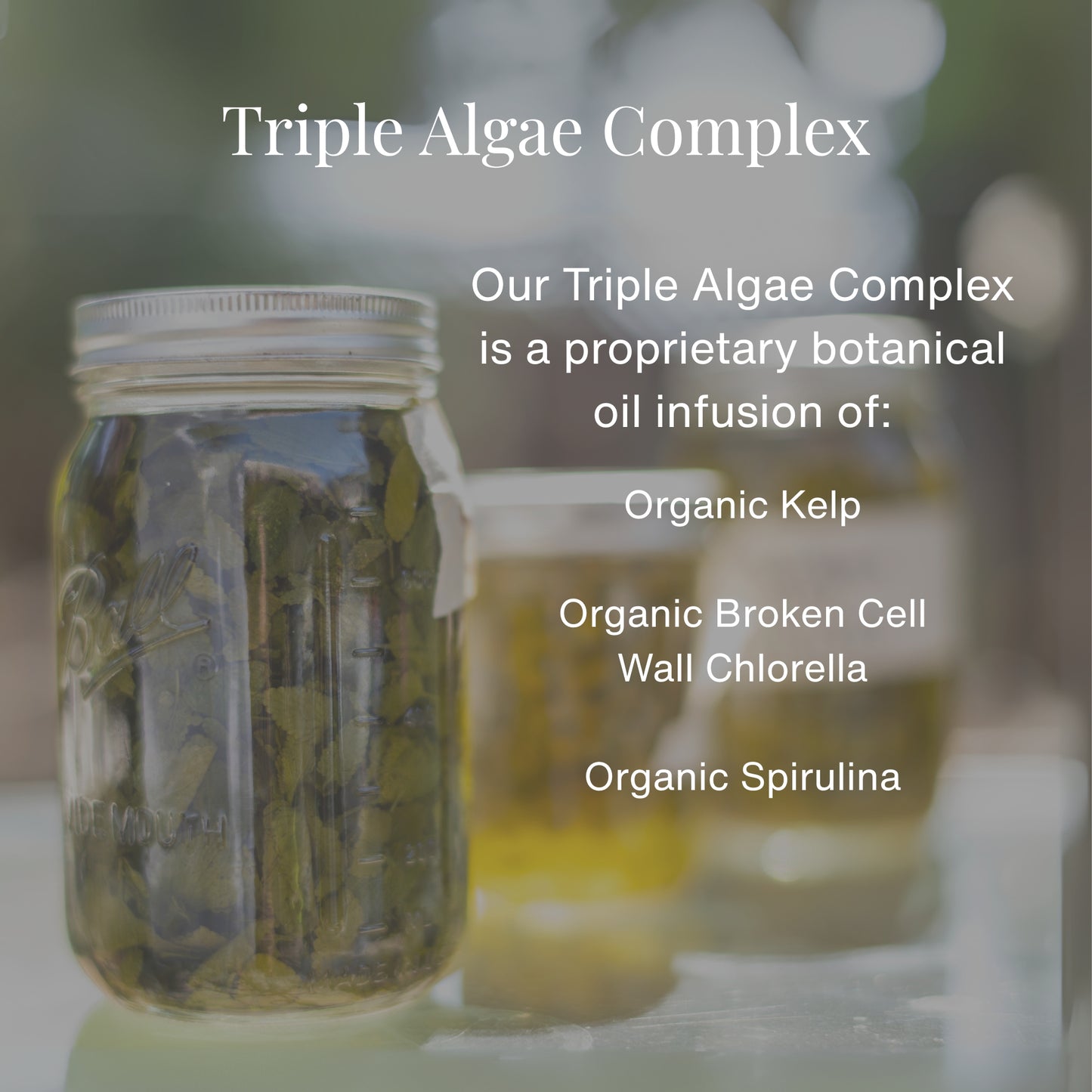 Firming Body Oil Serum with Triple Algae Complex