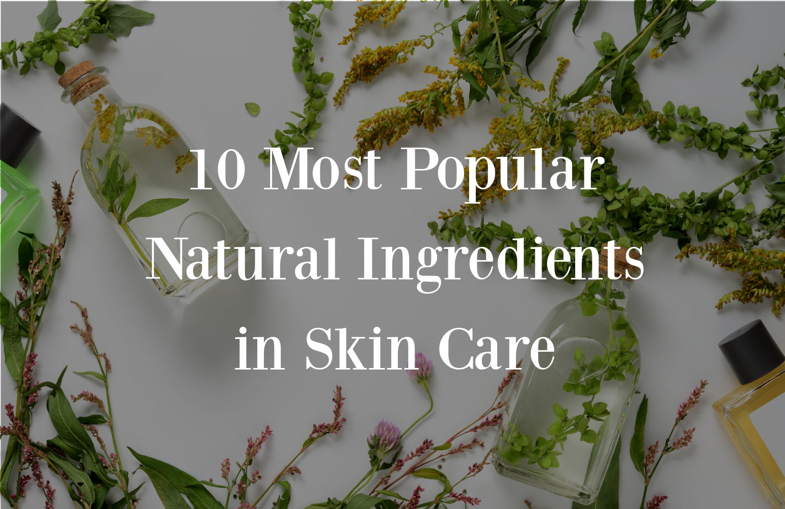 10 Most Popular Natural Ingredients in Skin Care – Fig + Vine Skin Care