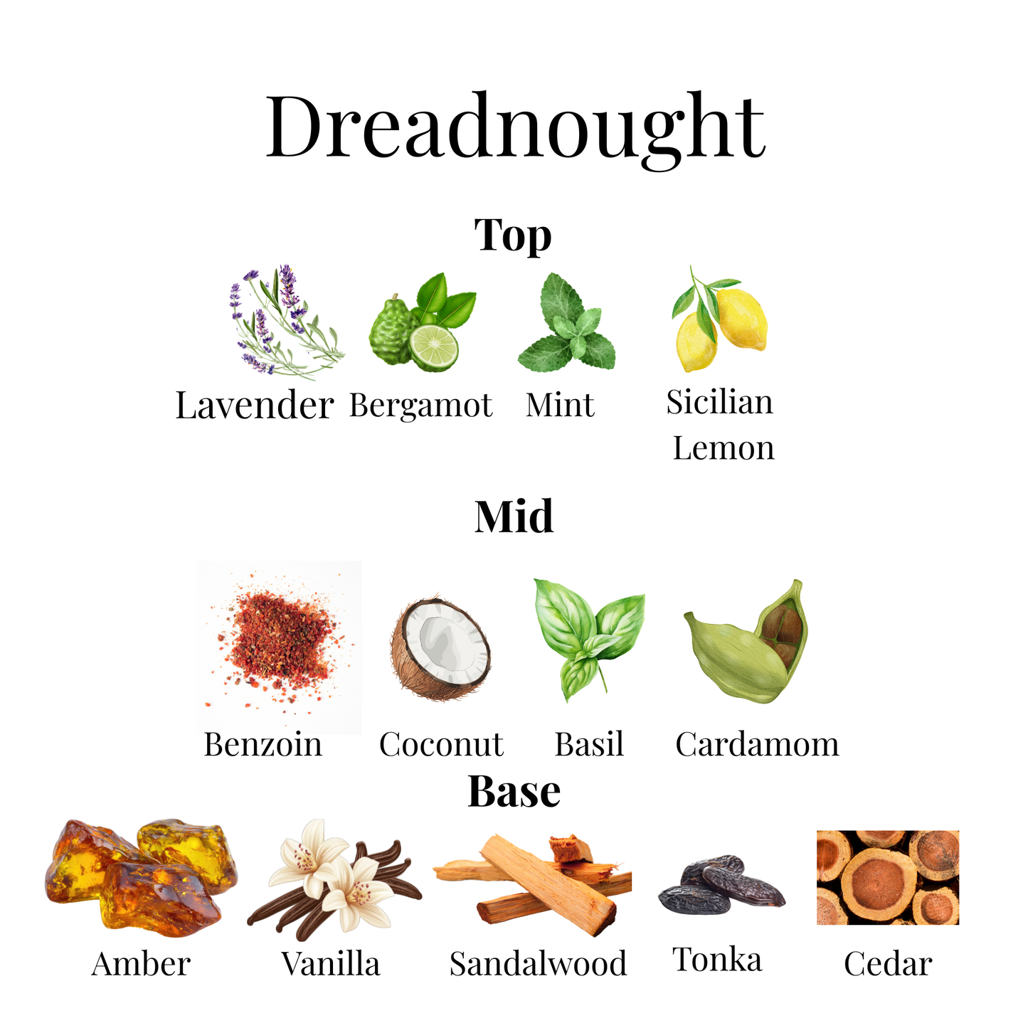 Dreadnought EDP