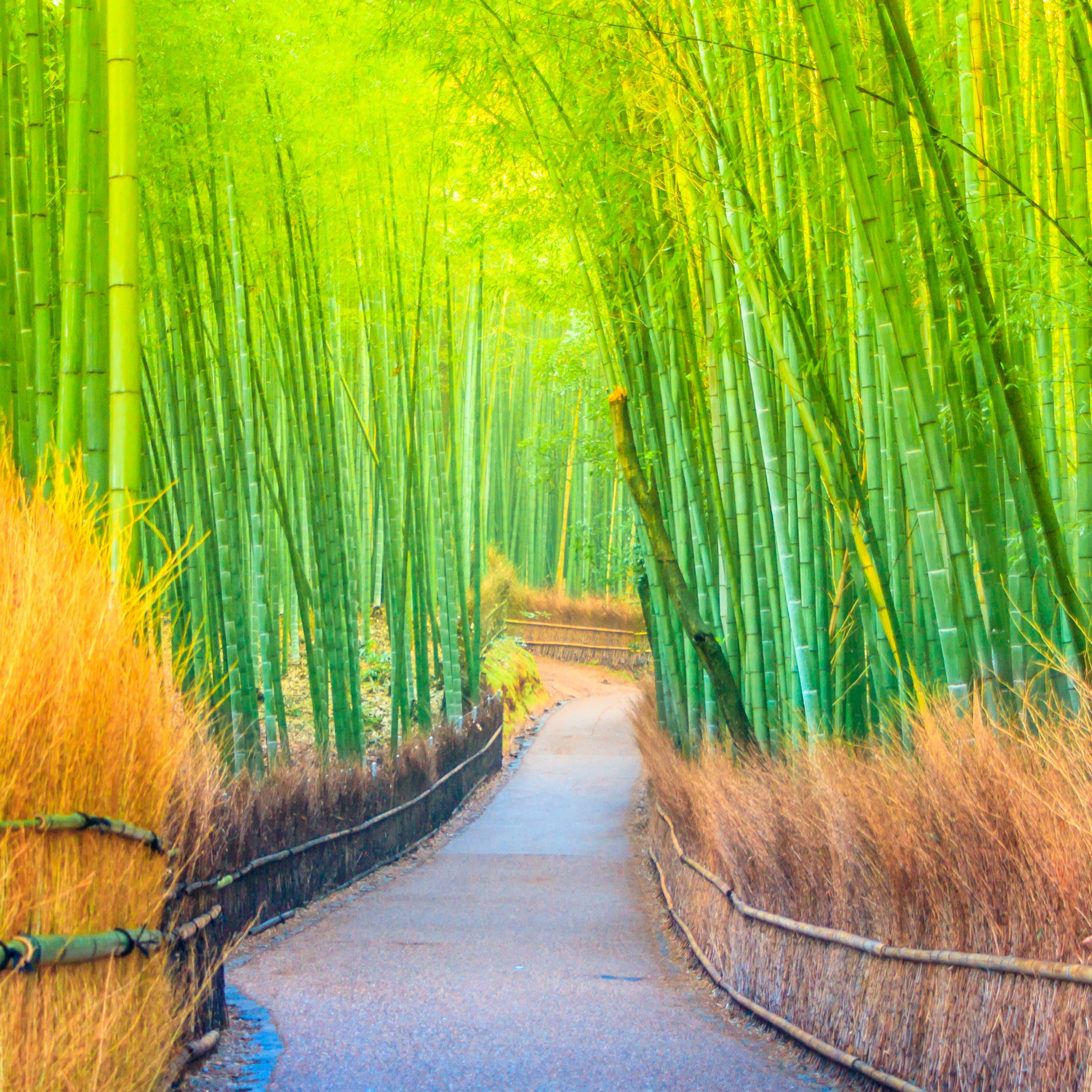 pathway